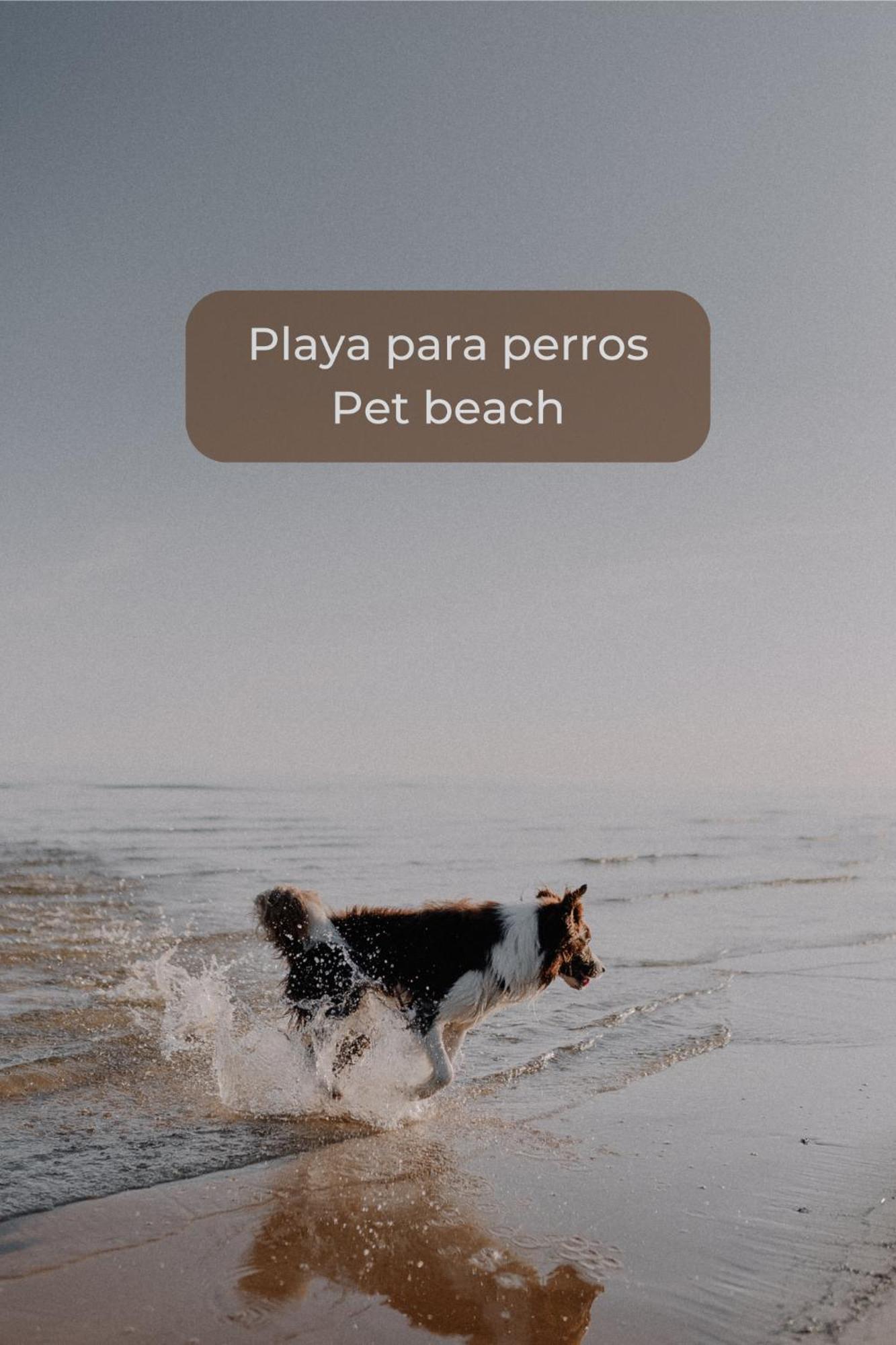 Basa Paradise - Piscina, Terraza, Wifi Y Parking Corralejo Exteriör bild